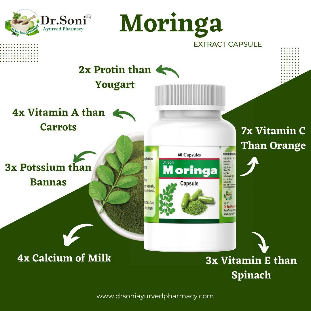Moringa Superfood drumstick leaf Nutritional powerhouse 